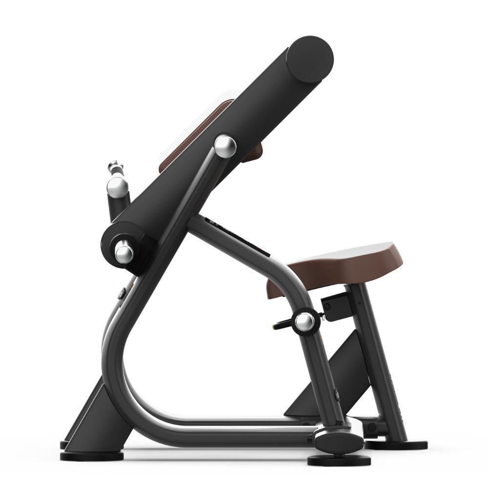 Side view of Intenza Biceps Curl Zone Line plate-loaded strength machine on a white background