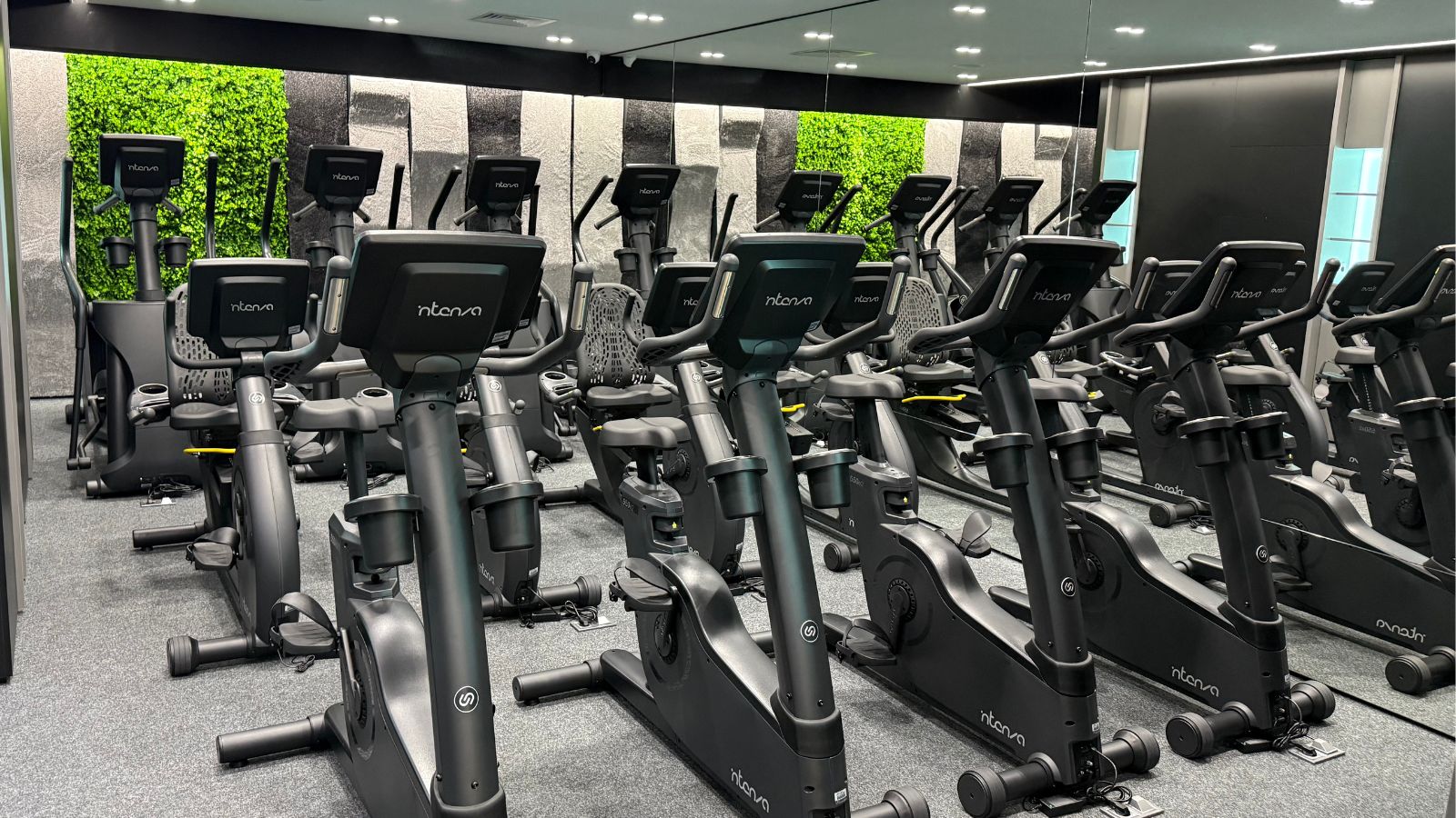 Titanium Fitness Mladost One