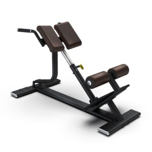 Intenza Back Extension Bench on white background