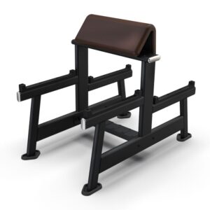 Intenza Arm Curl Bench on white background