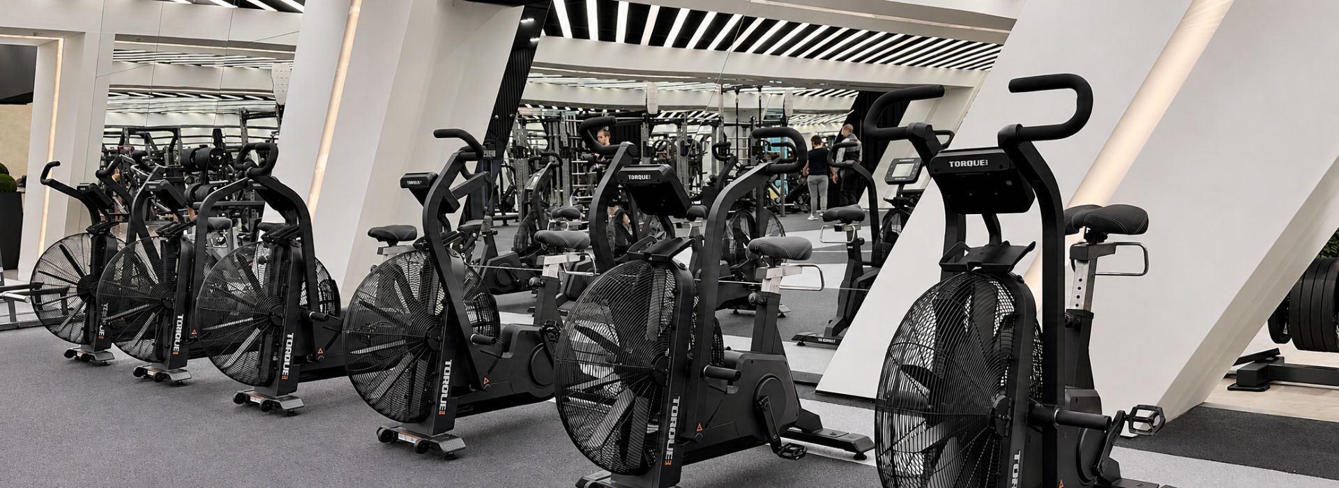 Torque Fitness
